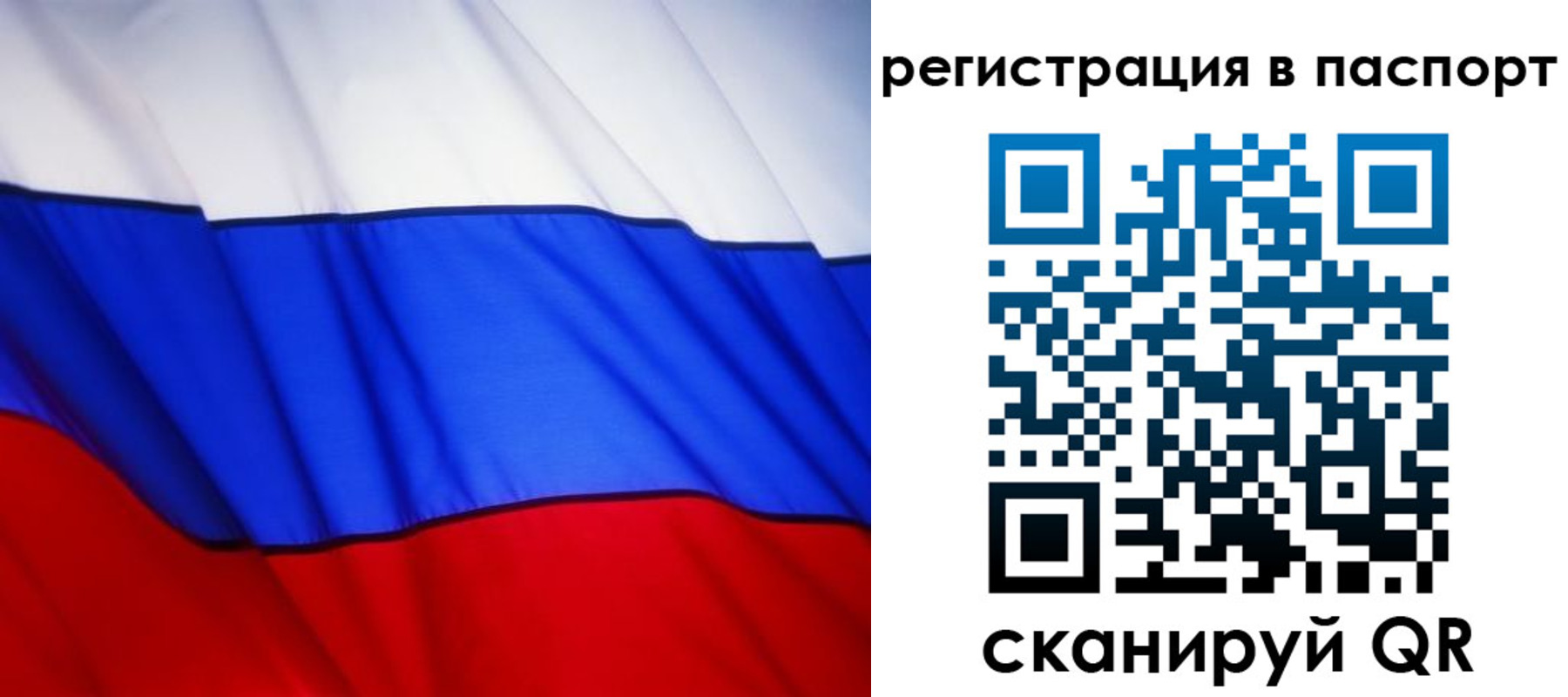 прописка 2025 в Владимире